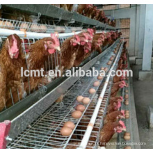 Projeto da casa da galinha da camada fornecedor profissional da China